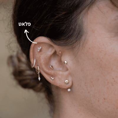 עגילי פלאט פירסינג