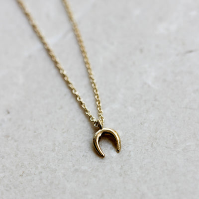 שרשרת פרסה טייני זהב 14K Necklaces