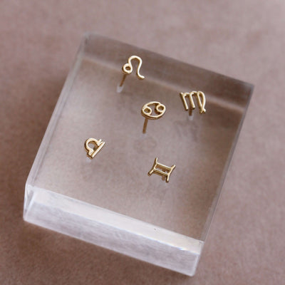 עגילי מזלות זהב 14K Earrings 