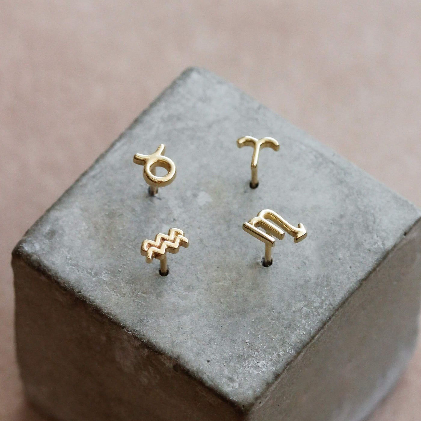 עגילי מזלות זהב 14K Earrings 