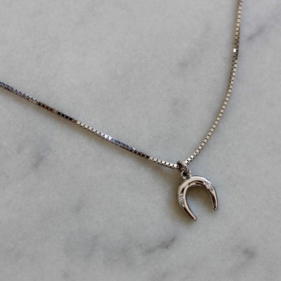 שרשרת פרסה זהב 14K Necklaces 