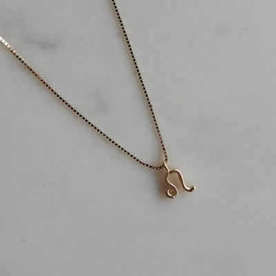 שרשרת מזלות זהב 14K Necklaces 