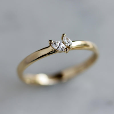 טבעת לואי זהב 14K Rings 