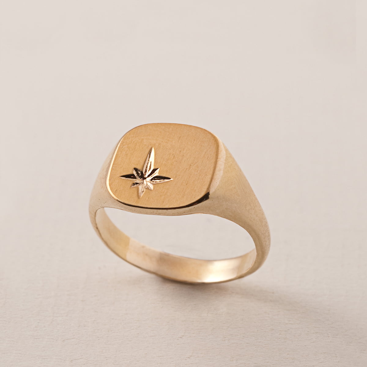 טבעת חותם כוכב זהב 14K Rings 