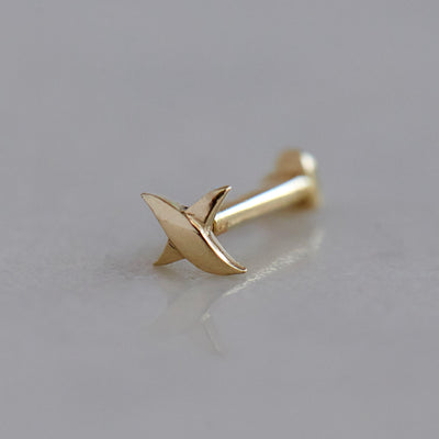 עגיל פירסינג אייבי קטן זהב 14K Earrings 