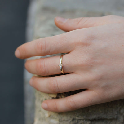 טבעת לואי זהב 14K Rings 